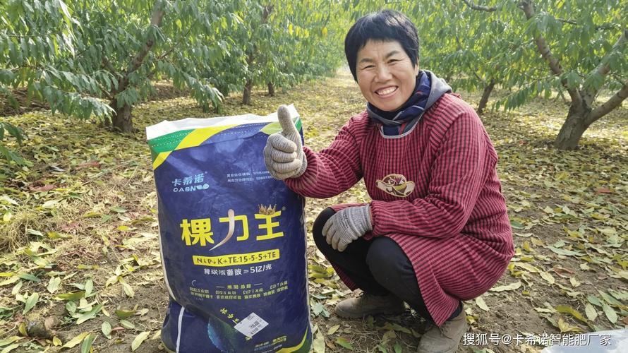 颗粒水溶肥需注意哪些选购要点