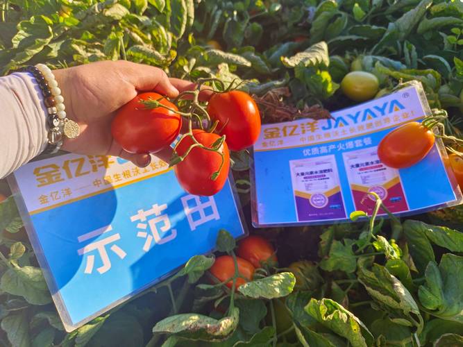 水溶肥选择记住这3招,肯定错不了