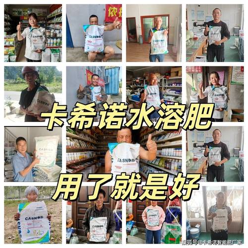 西红柿用什么牌子的高钾水溶肥