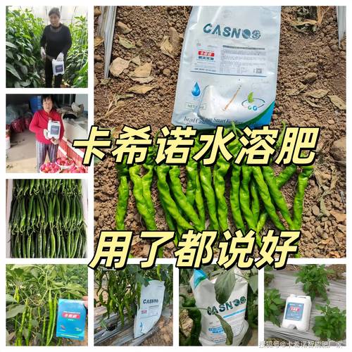 深度解析卡希诺水溶肥多重优势