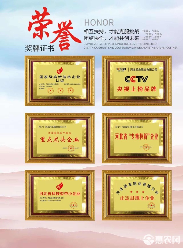 老厂新线，钾肥新篇 大量元素水溶肥高钾型背后的技术力量与定制化服务