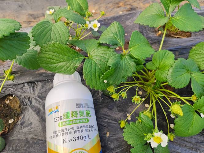 水溶肥选对了，作物增产不用愁——科学选肥与施用全攻略