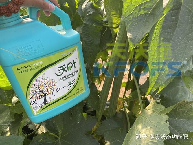 水溶肥厂家产品具备这些,值得信赖!