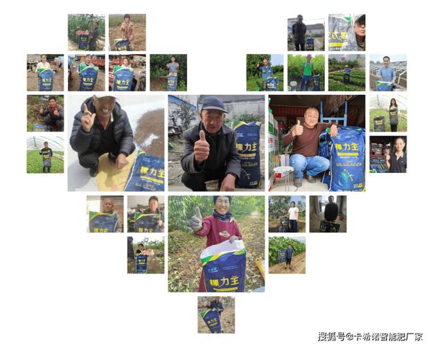 2026年市场主流品牌与选购指南 颗粒水溶肥哪家品牌好?